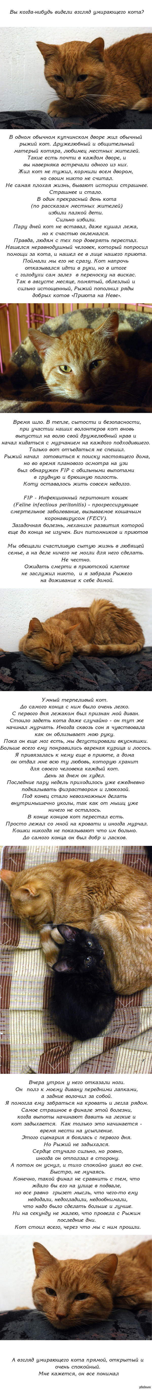 Новый адрес кракен
