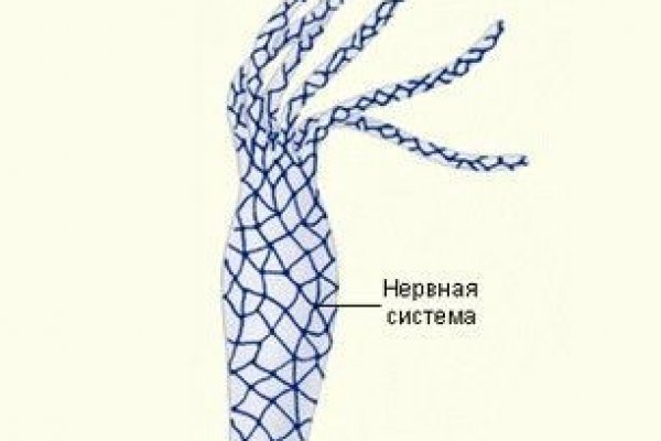 Kra37.cc Вход на сайт главная страница
