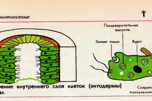 Ссылка кракен сегодня