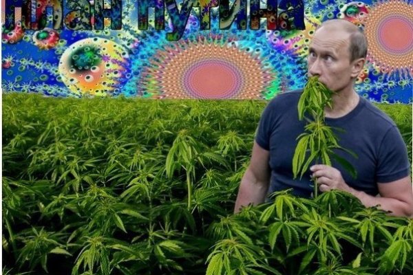 Заказать даркнет