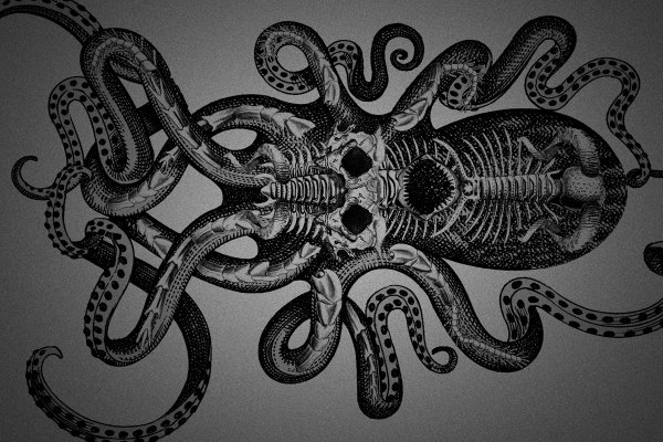 Kraken 19 at