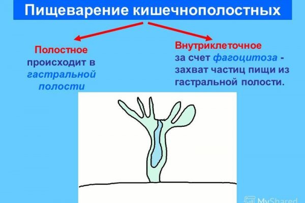 Кракен черный сайт