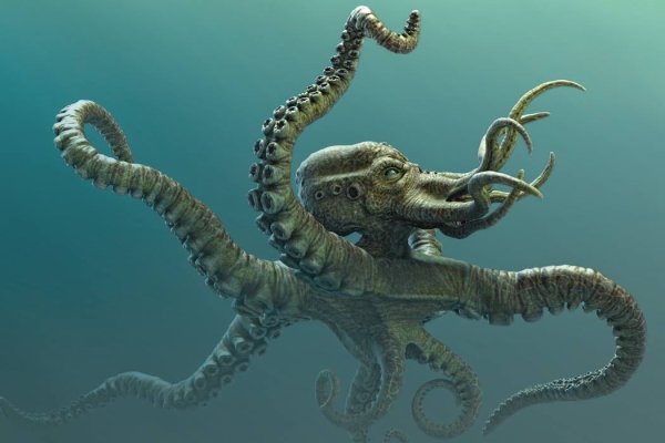 Кракен даркнет ссылка kraken link24 info