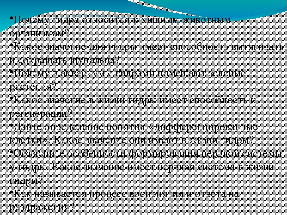 Почему не работает кракен сегодня