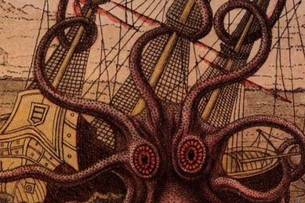 Kraken 6at