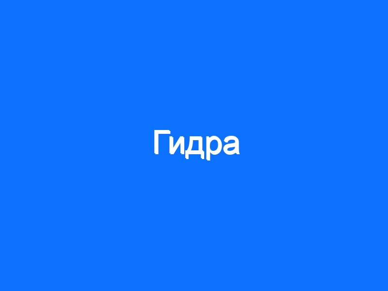 Кракен это современный даркнет маркет плейс
